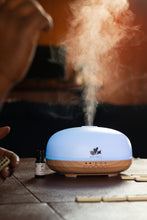 Load image into Gallery viewer, WITH LOV3, LC Bluetooth Speaker Aroma Diffuser