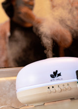 Load image into Gallery viewer, WITH LOV3, LC Bluetooth Speaker Aroma Diffuser